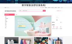 数字智慧(汨罗区服务商)整合行业招商运营资源的
