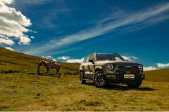 RAV4还是哈弗大狗追猎版？十一探店试驾我毫不犹