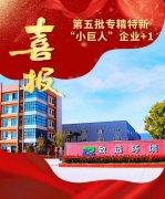 致远环境荣获国家级专精特新“小巨人”荣誉称