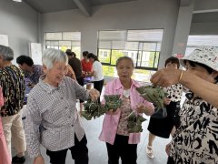 德清县雷甸镇：端午传情 银龄同乐
