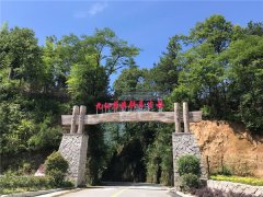九仙尊荣膺【霍山石斛行业领导者】 十五年深耕